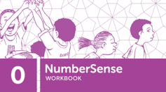 NumberSense Workbook 0