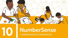 NumberSense Comprehensive Workbook 10