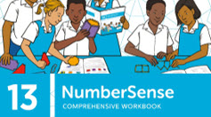 NumberSense Comprehensive Workbook 13