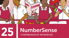 NumberSense Comprehensive Workbook 25