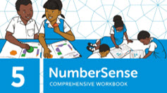 NumberSense Comprehensive Workbook 5