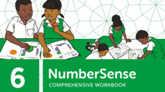 NumberSense Comprehensive Workbook 6