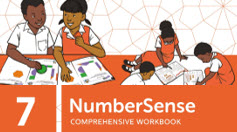 NumberSense Comprehensive Workbook 7