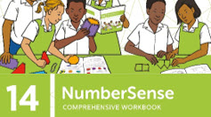 NumberSense Comprehensive Workbook 14