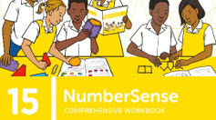 NumberSense Comprehensive Workbook 15