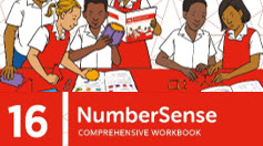 NumberSense Comprehensive Workbook 16