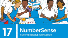 NumberSense Comprehensive Workbook 17