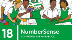 NumberSense Comprehensive Workbook 18