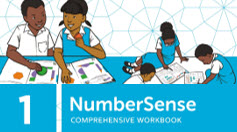 NumberSense Comprehensive Workbook 1