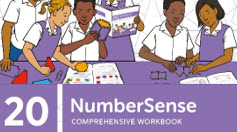 NumberSense Comprehensive Workbook 20