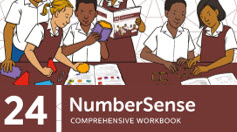 NumberSense Comprehensive Workbook 24