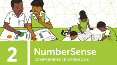 NumberSense Comprehensive Workbook 2