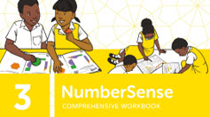 NumberSense Comprehensive Workbook 3